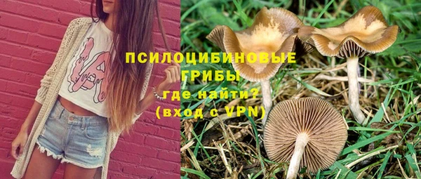 спиды Алзамай
