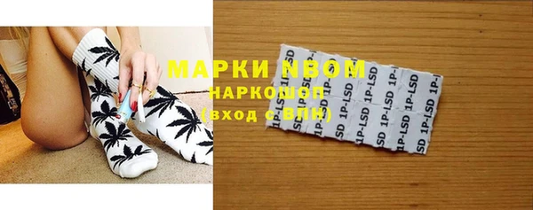 стаф Алексин