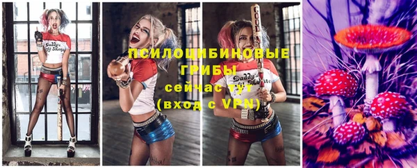 сатива Алексеевка