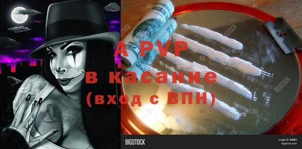 сатива Алексеевка